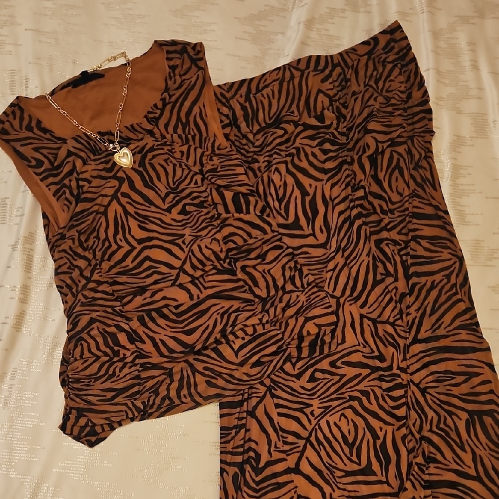 Brown and Black Zebra Print Set